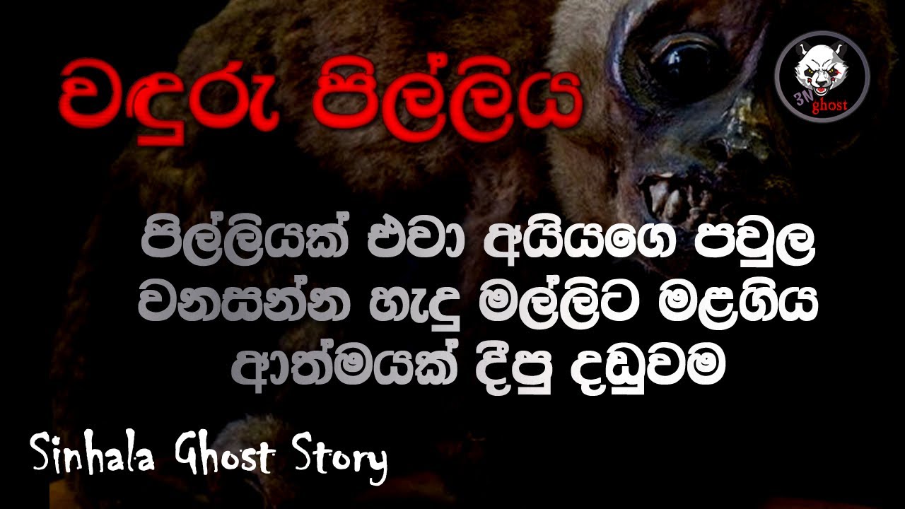 Holman Katha 👽 වඳුරු පිල්ලිය (සත්‍ය කතාවක්)  Sinhala Ghost Story Episode 45 - 3N Ghost