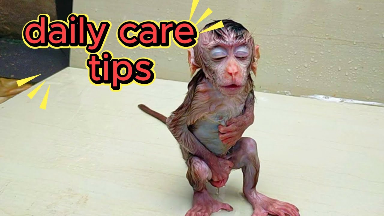 daily care tips