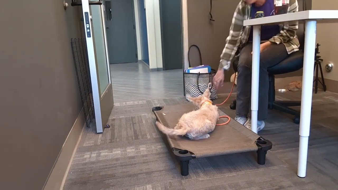 Pepper Training Video 7.30.24