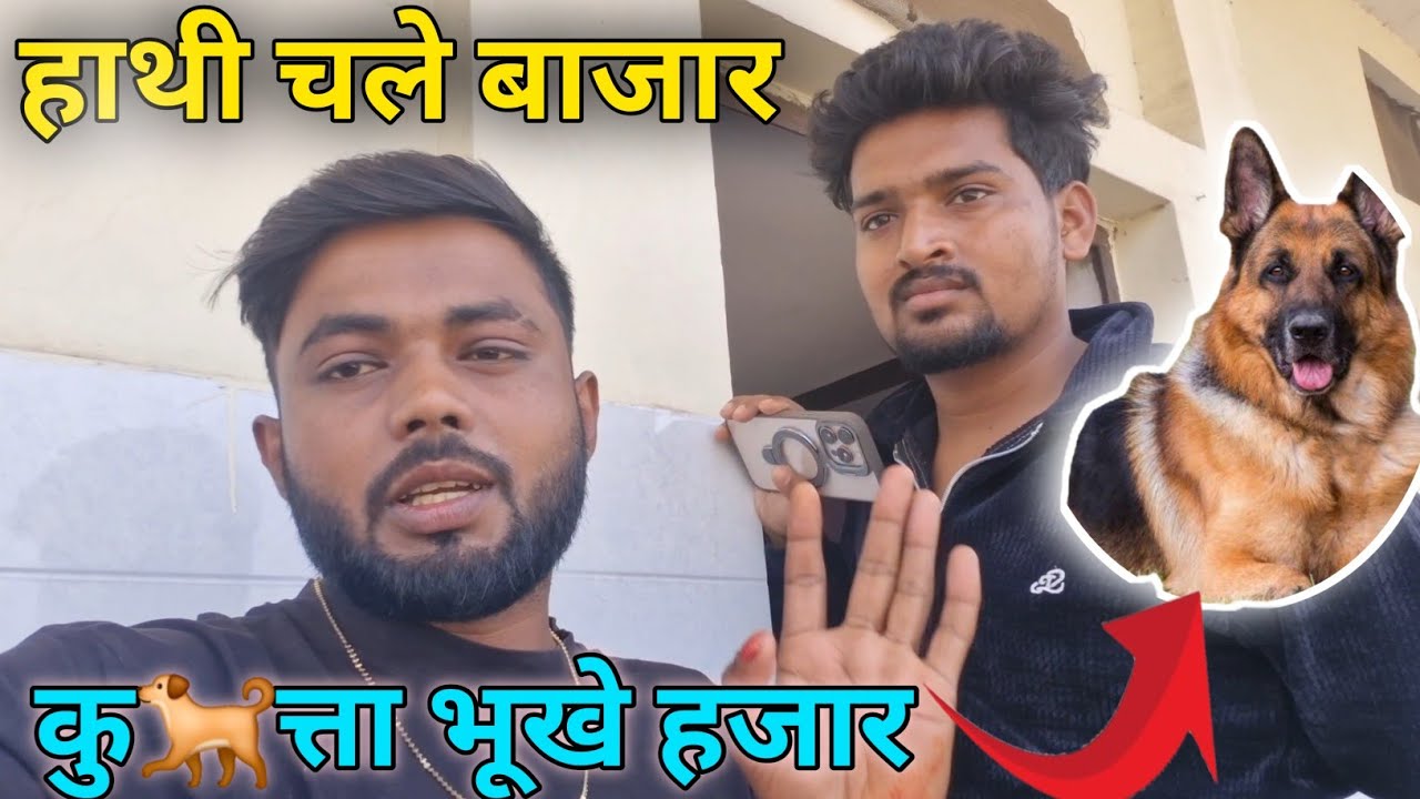 हाथी चले बाजार कुत्ता भूखे हजार