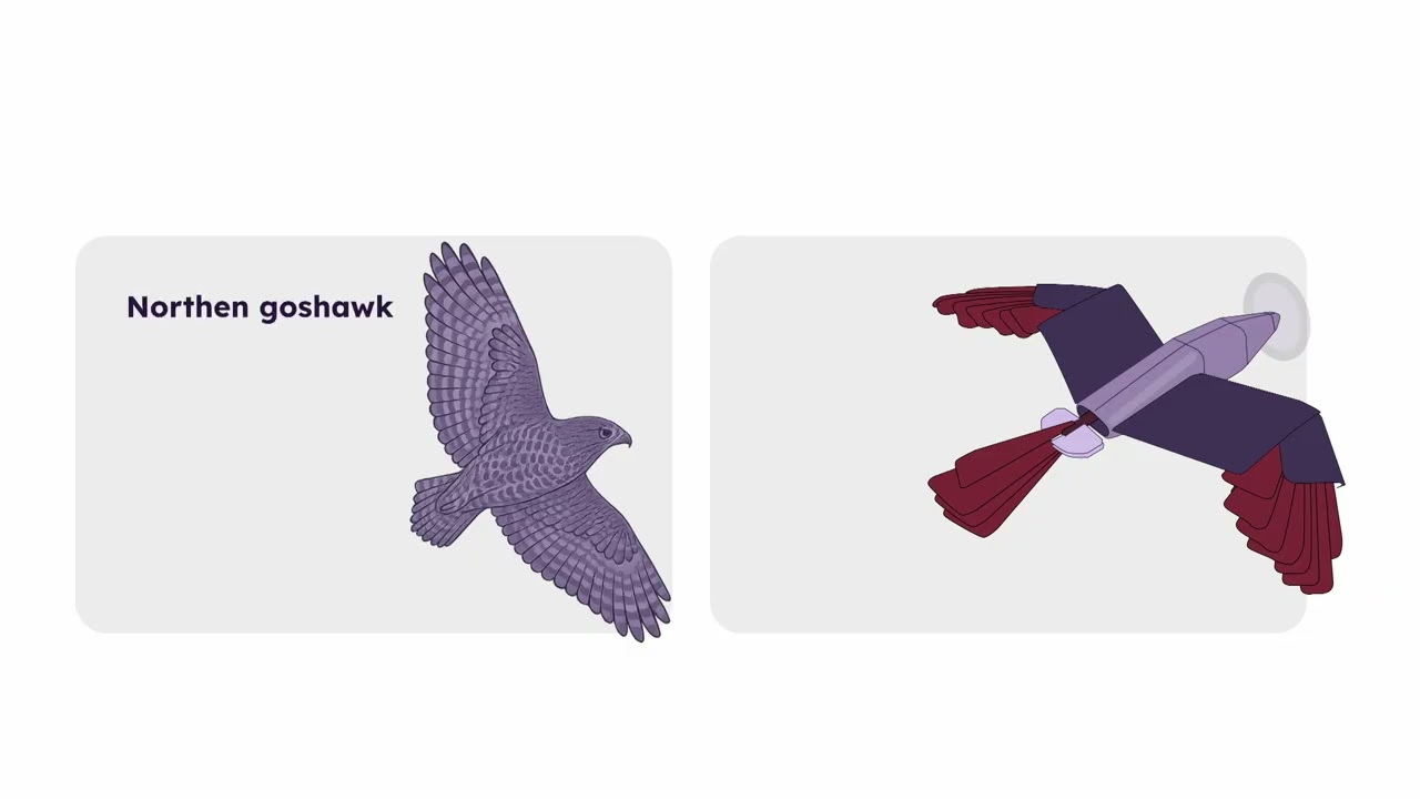 The present and future of flying robots