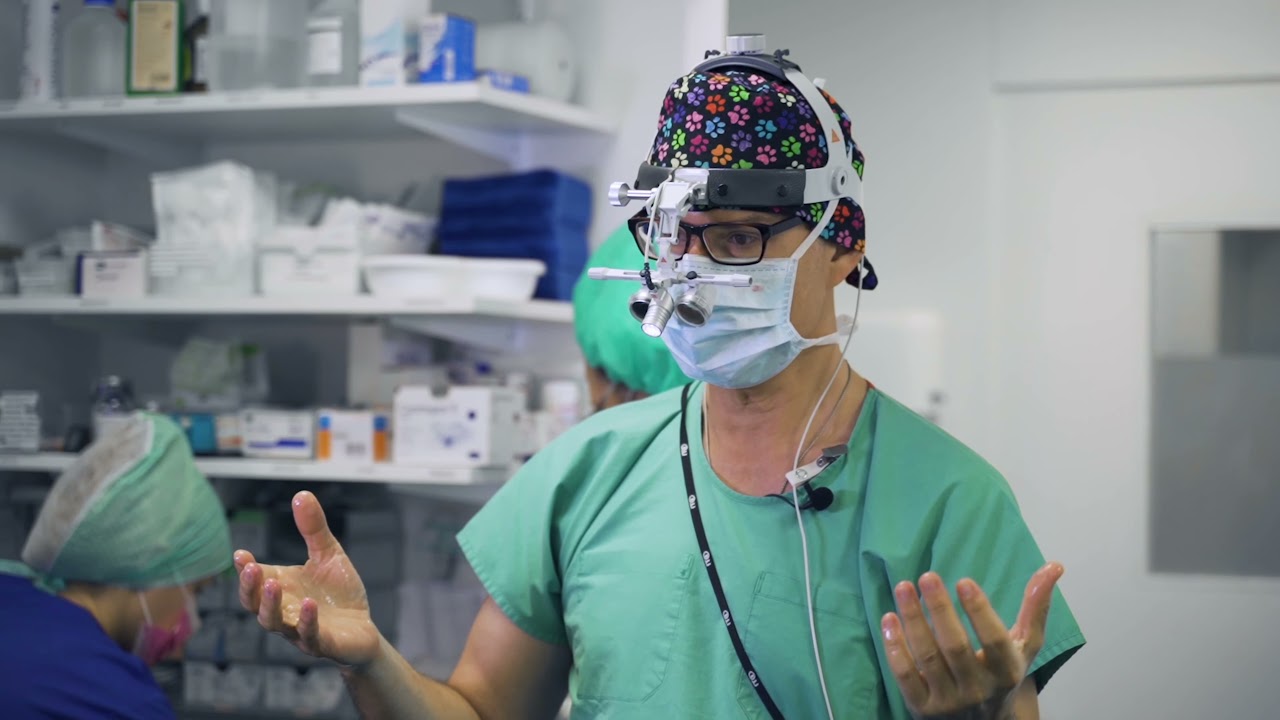 3 Dinge die sie über REITERHOSEN wissen sollten | Dr. Stergiou - Schönheitschirurgie