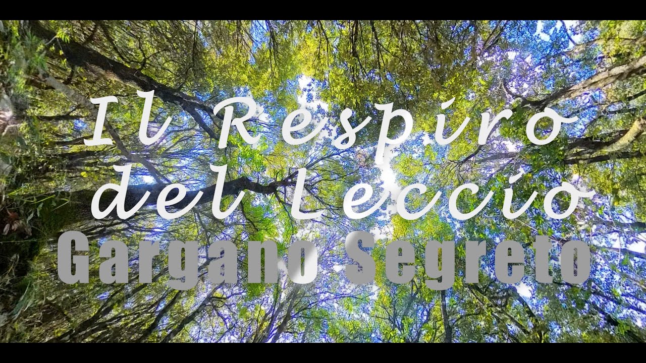𝔾𝕒𝕣𝕘𝕒𝕟𝕠 𝕊𝕖𝕘𝕣𝕖𝕥𝕠. Il Respiro del Leccio