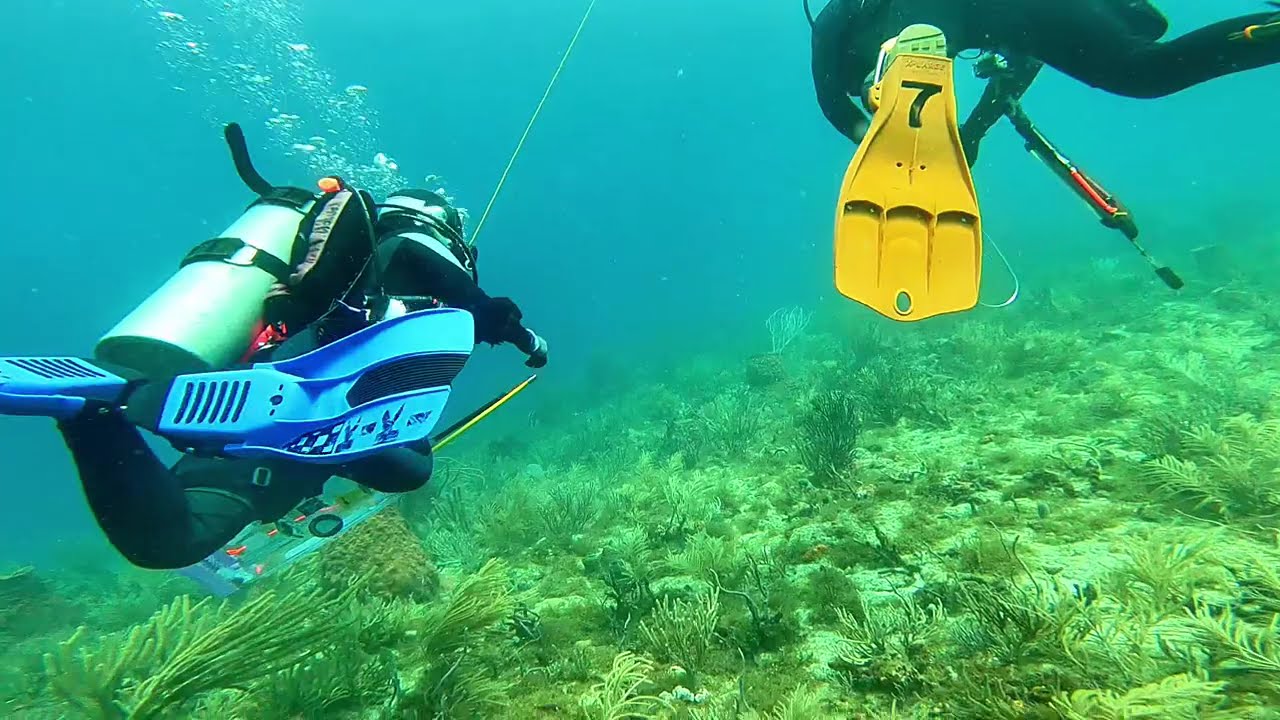 17 Days Without Diving… I Need Blue Therapy 🌊💙