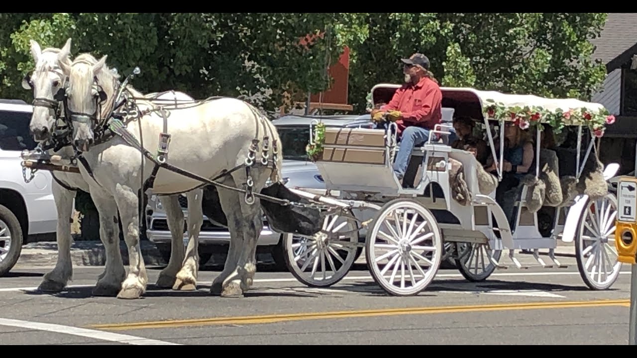 🚩Manejando  por Big Bear/Driving around  Big Bear🚩