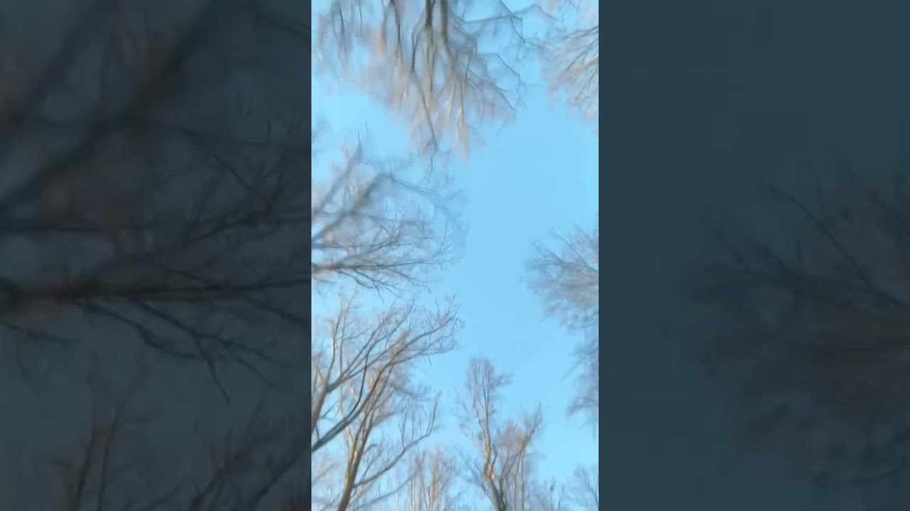 Flipping over my phone!