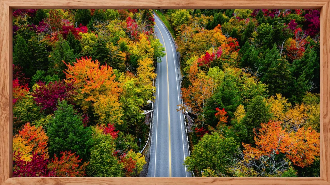 Autumn Landscape / TV Display 4K