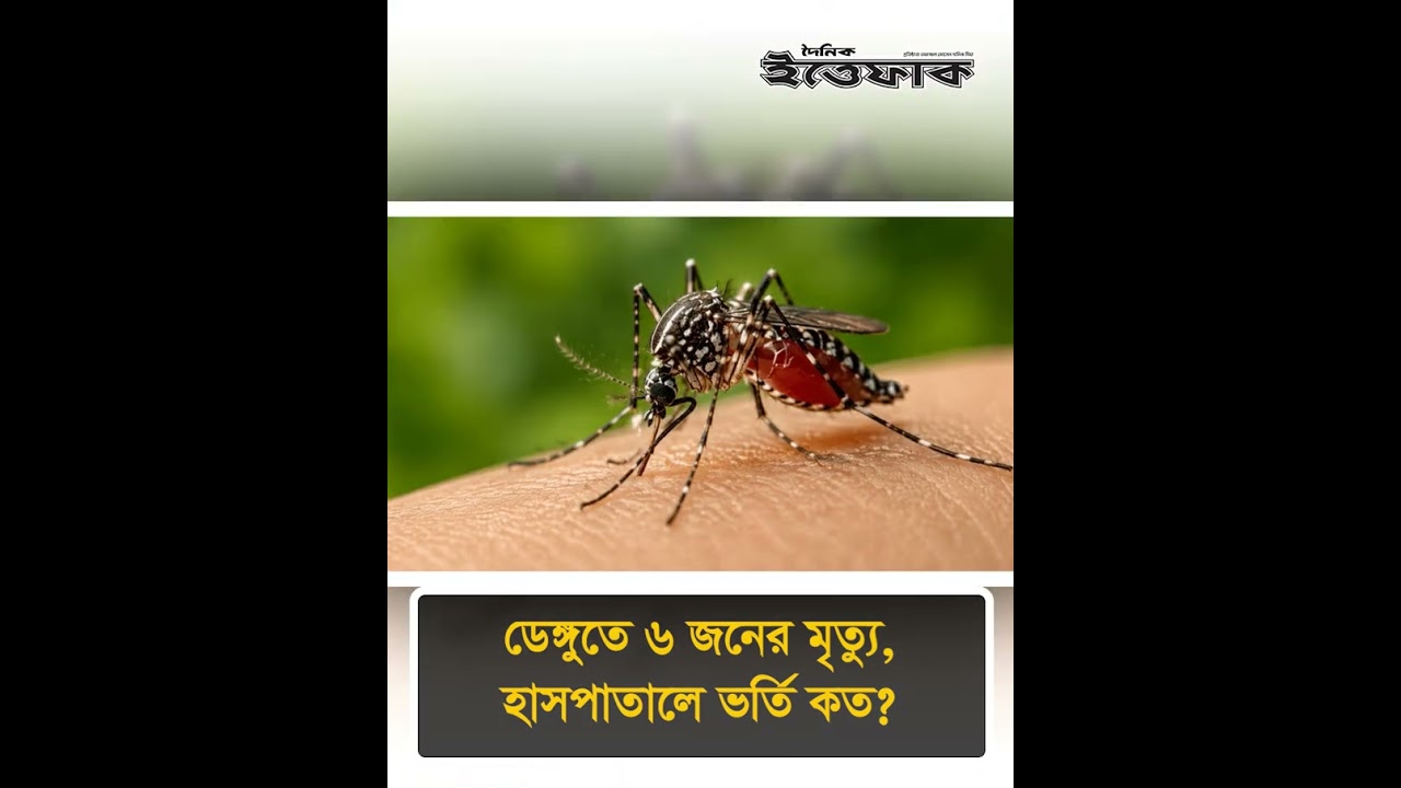 ডেঙ্গুতে ৬ জনের মৃ'ত্যু, হাসপাতালে ভর্তি কত? #hospital #nationalnews #ittefaq