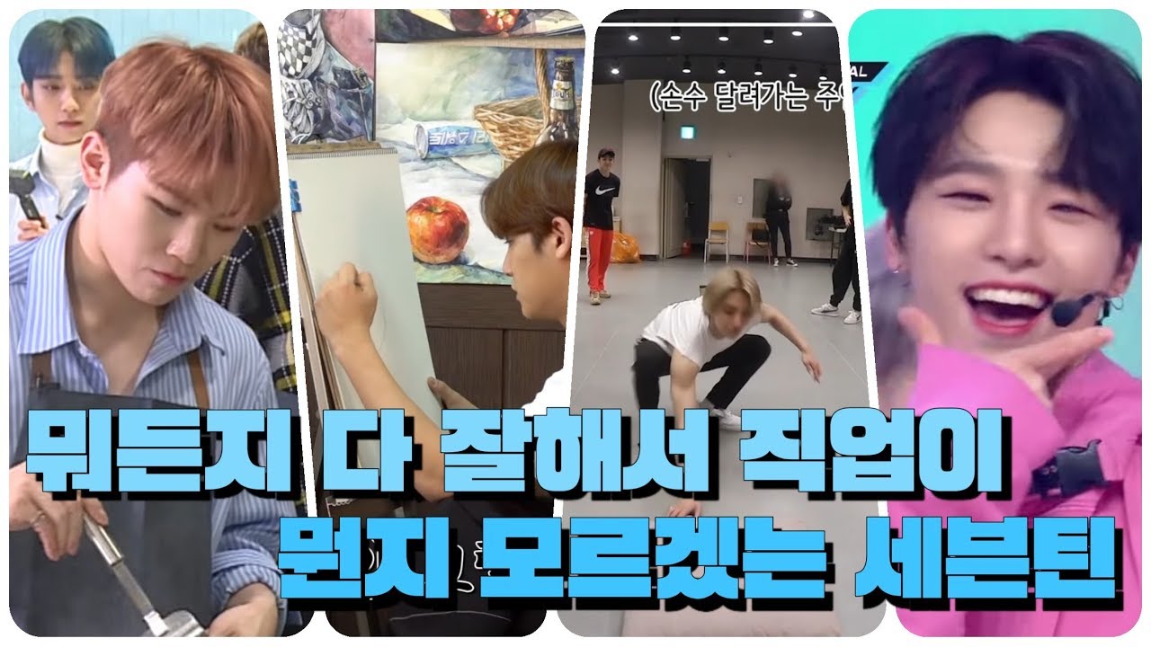 [세븐틴] 세븐틴은 직업이 뭐야?