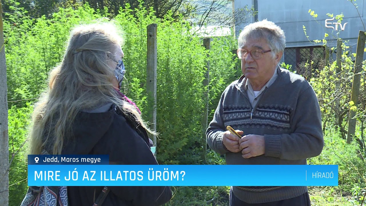 Mire jó az illatos üröm? – Erdélyi Magyar Televízió