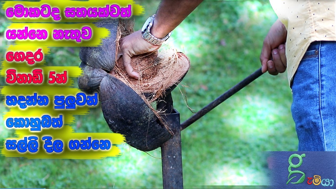 239 මේ කොවිඩ් අස්සෙ ගෙදර හදන්න පුලුවන් කොහුබත් ගන්න කඩ ගානෙ රිංගන්නෙ මොකටද