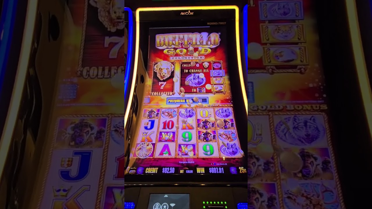 73 spins Buffalo gold collection bonus $30.00 bet #ilani casino 