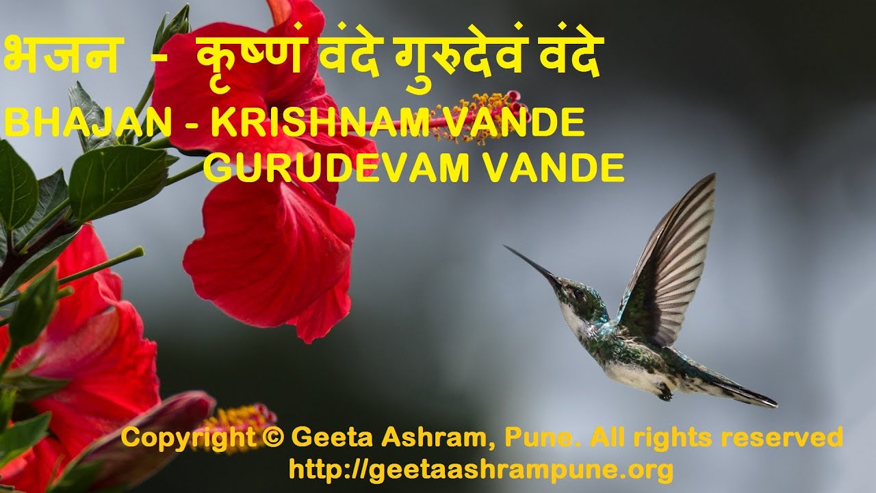 कृष्णं वंदे गुरुदेवं वंदे (भजन) | Krishnam Vande Gurudevam Vande (Devotional song)