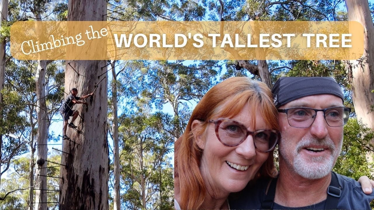 Pemberton Giant Trees - Valley of the Giants | Australia's South West Pt 4