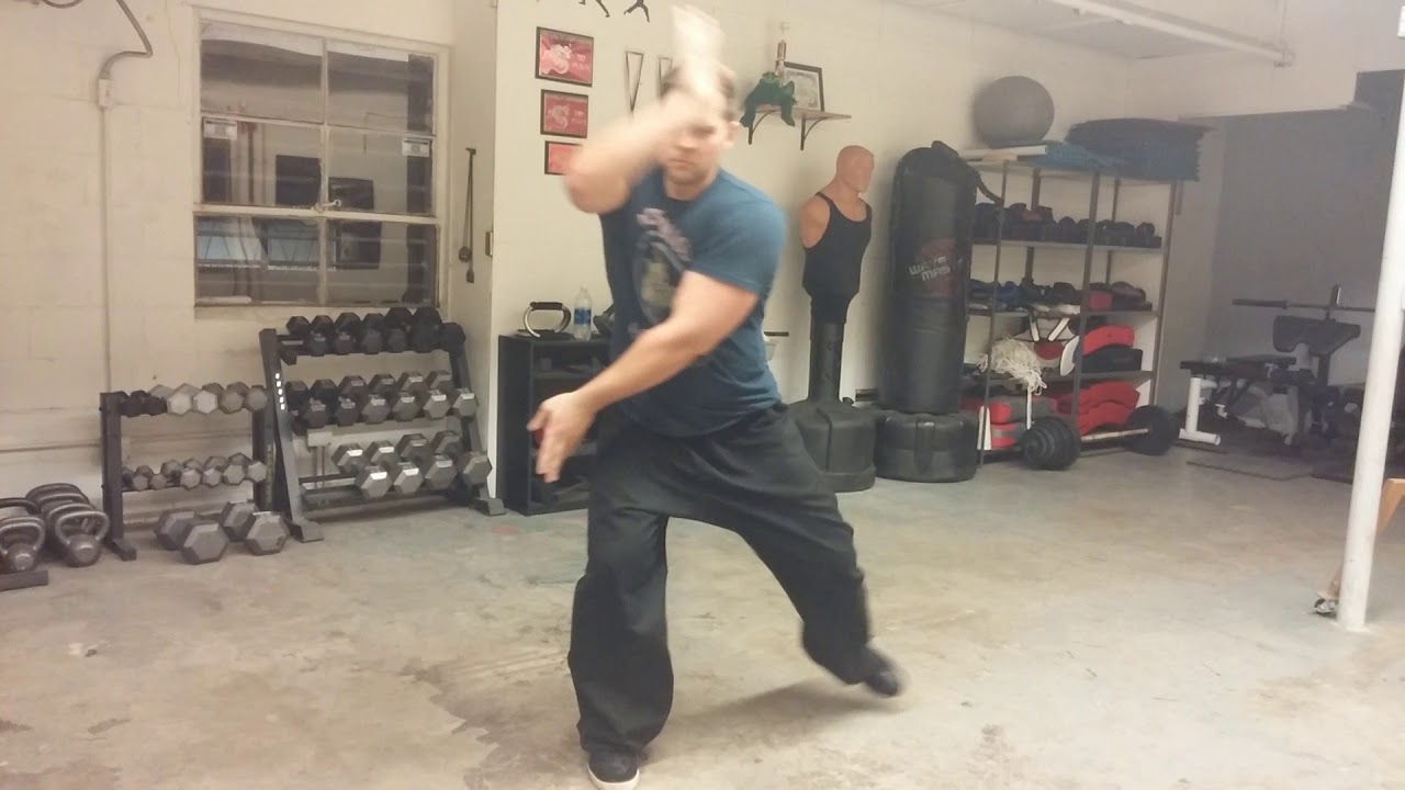 Choy Li Fut crane set