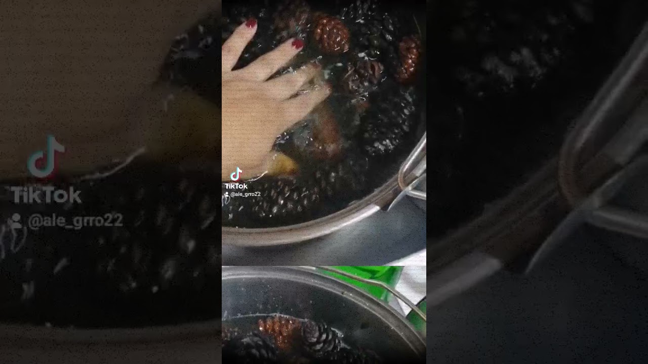 Como limpiar piñas de pino.