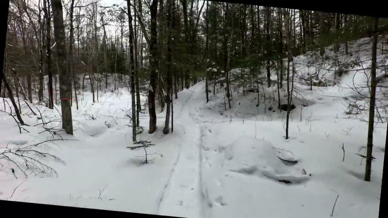 Underdown North - January