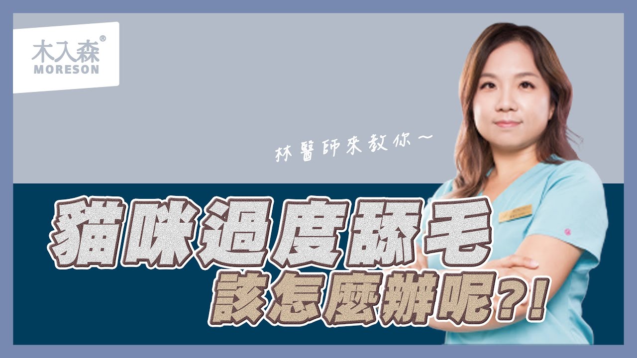 擔心貓咪過度舔毛嗎？那該怎麼辦？｜木入森Moreson