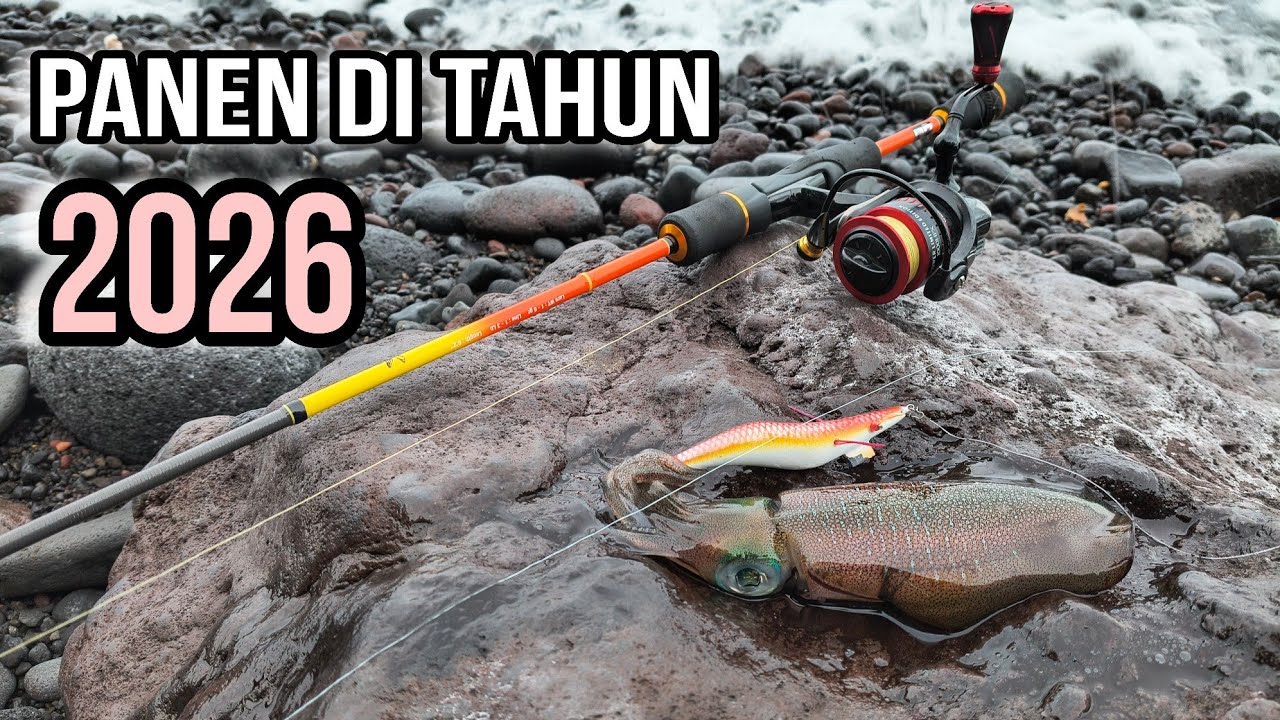 Mancing cumi perdana tahun 2026 langsung panen || Capung 622 1-3lb + Ryoby Ultra Power 1000