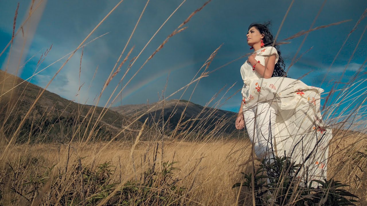 Palomita Encantadora - Lucero Velásquez