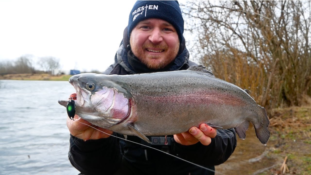 Kraftigt Blæsevejr, ULkæp Og Godt Med Fisk