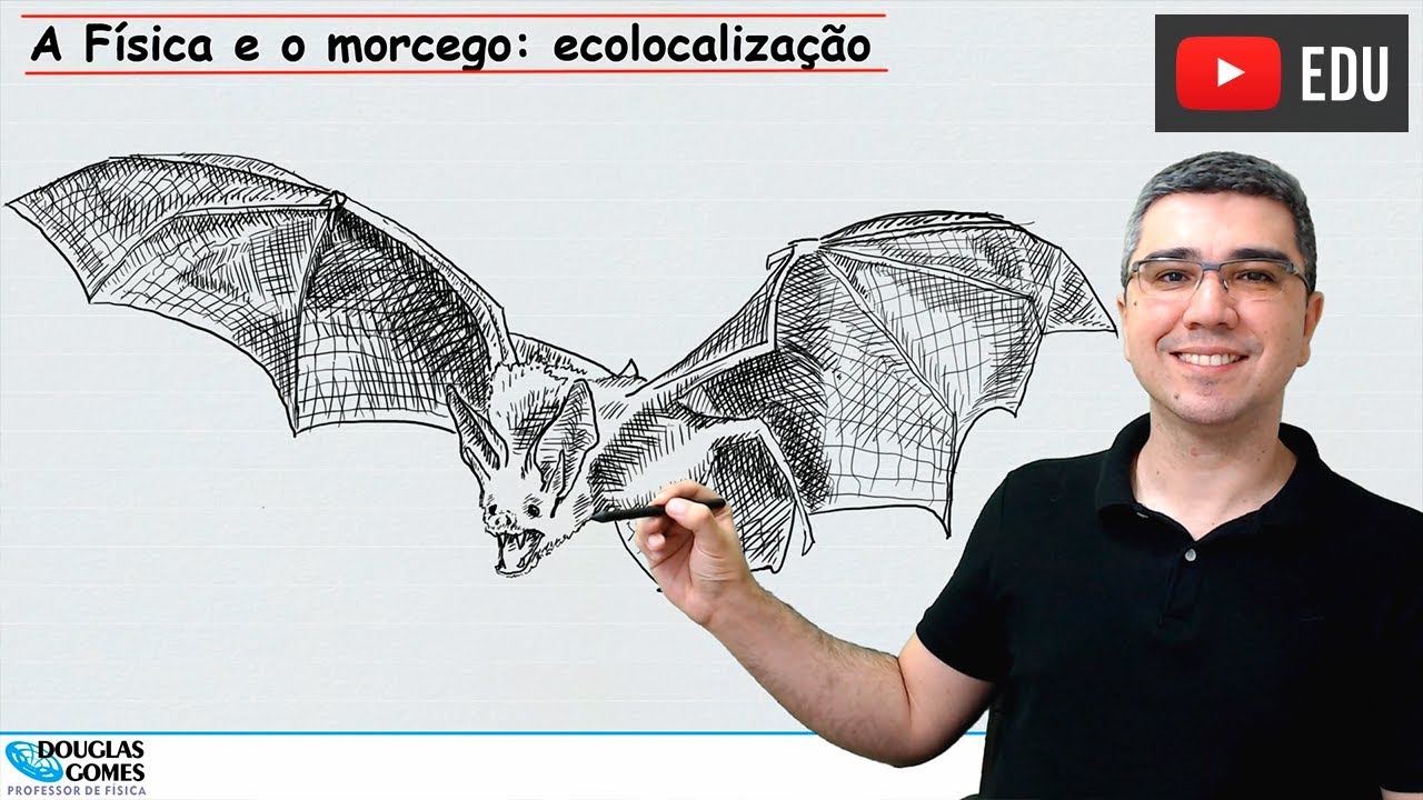 A Física e o morcego: ecolocalização/biossonar | Física todo dia | Física do cotidiano