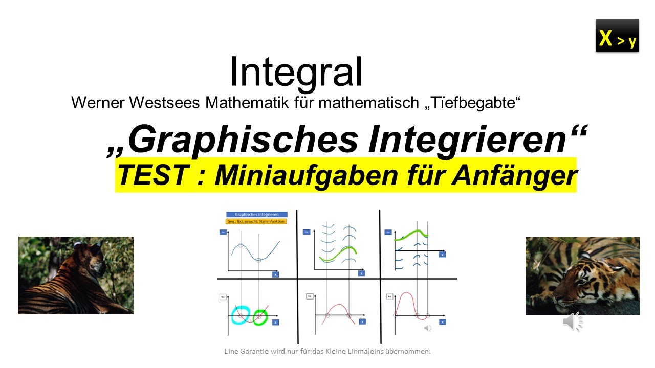 Graphisches Integrieren Test