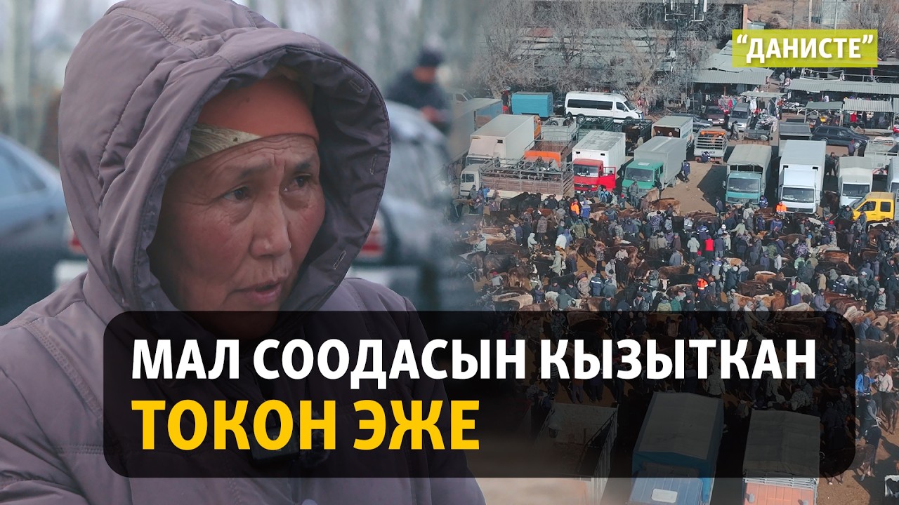 Төрт түлүктүн сырын билген Токон эже | 