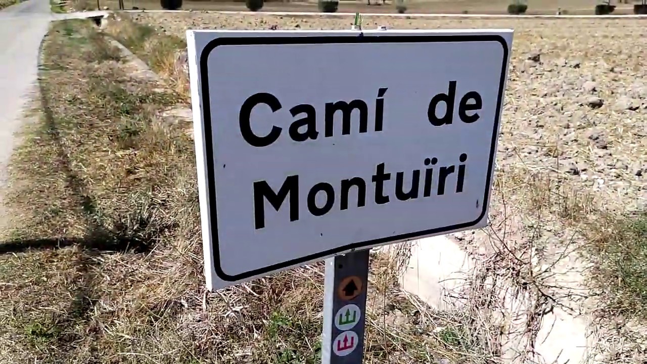 Walking Six Kilometers Around Sineu (Mallorca)