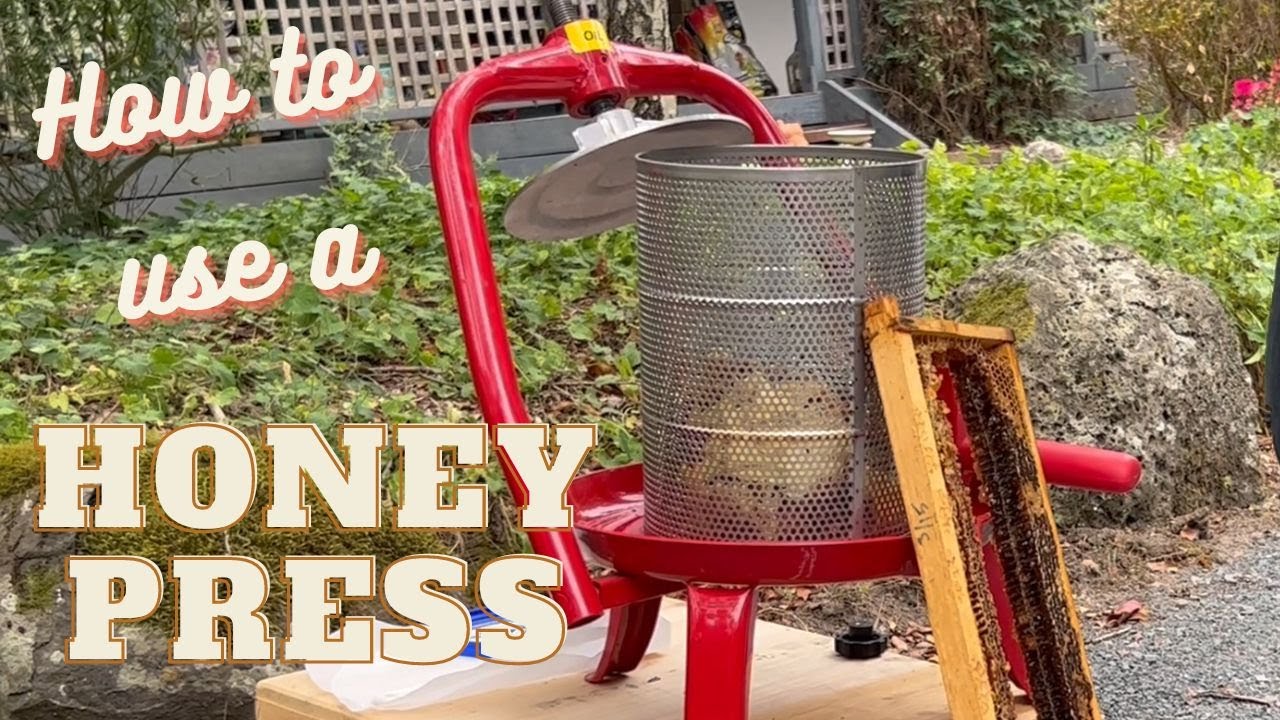 Beekeeping: Top tips on how to use a honey press. Harvesting Honey.