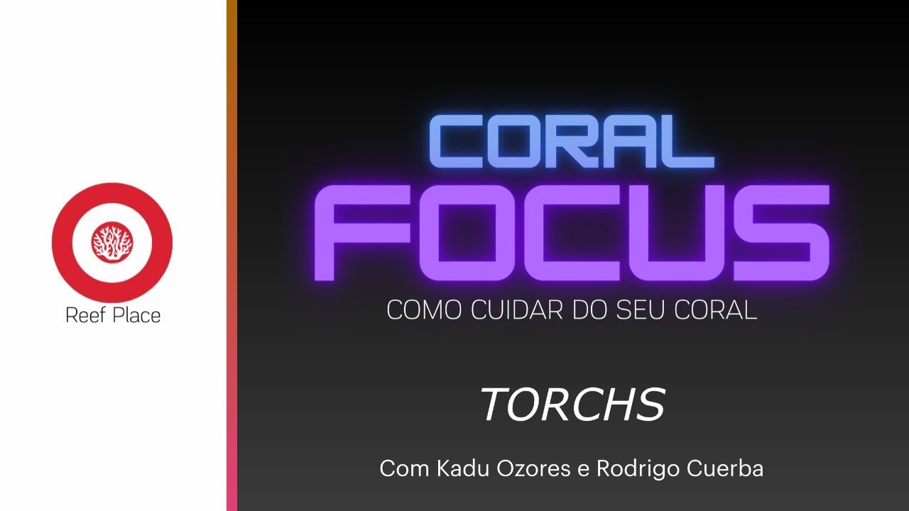 CORAL FOCUS - UM BATE PAPO SOBRE TORCH