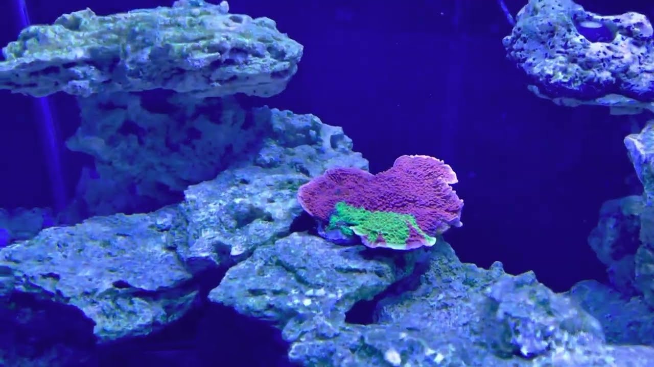 Tour the Waterbox Marine X110.4 and equipment