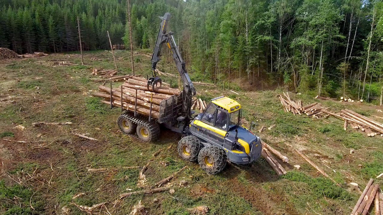 Ponsse Elephant King AF K100M+ - Big machine at work in Norway - 4k