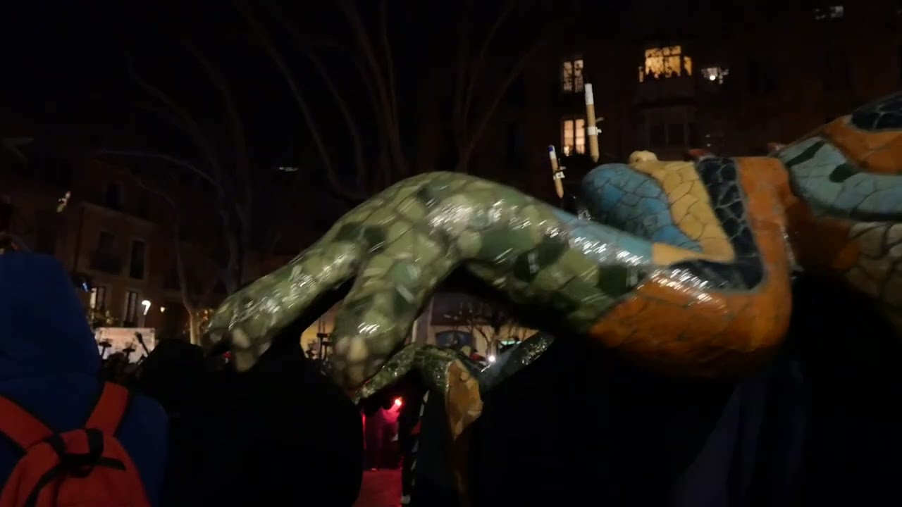 2024 (27/01). FOGUERONS DE SANT ANTONI  DE SA POBLA A LA PLA&Ccedil;A DE LA VIRREINA A GR&Agrave;CIA.
