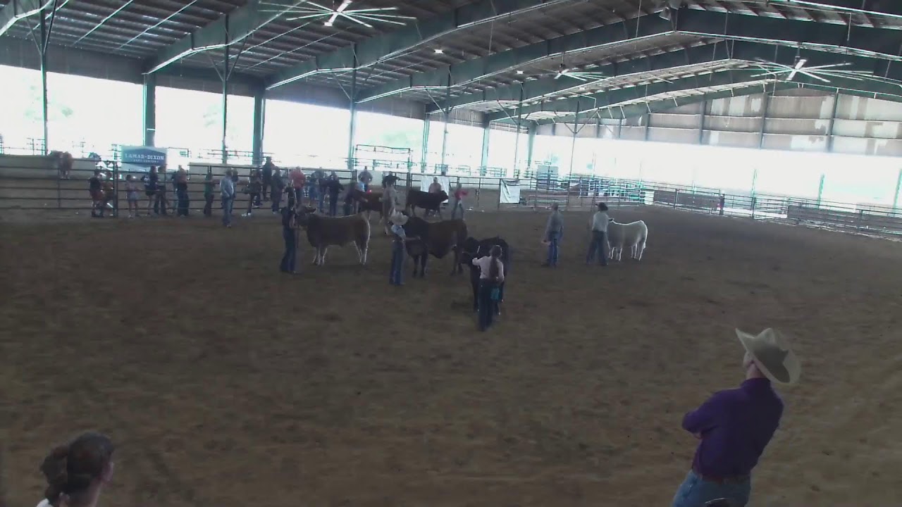 2026 State Livestock Show Back Arena 2/20/26
