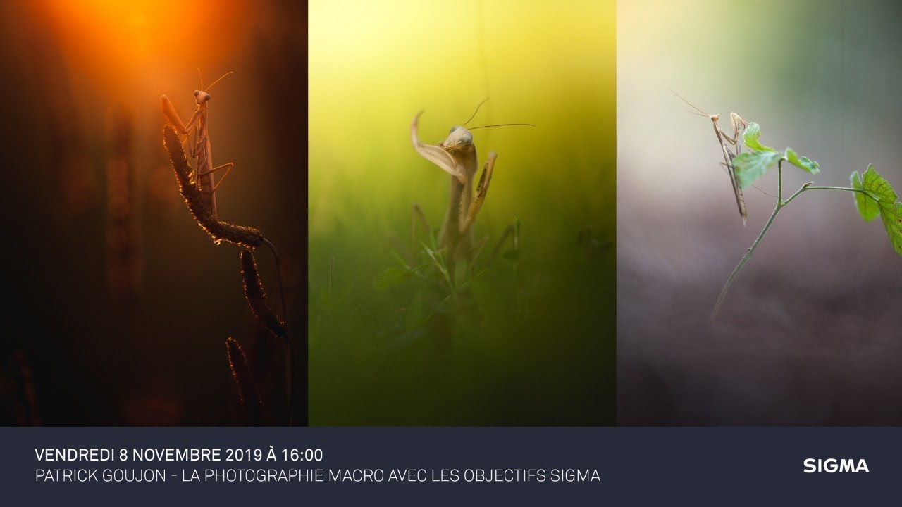 SDLP 2019 Patrick Goujon La photographie macro avec les objectifs SIGMA