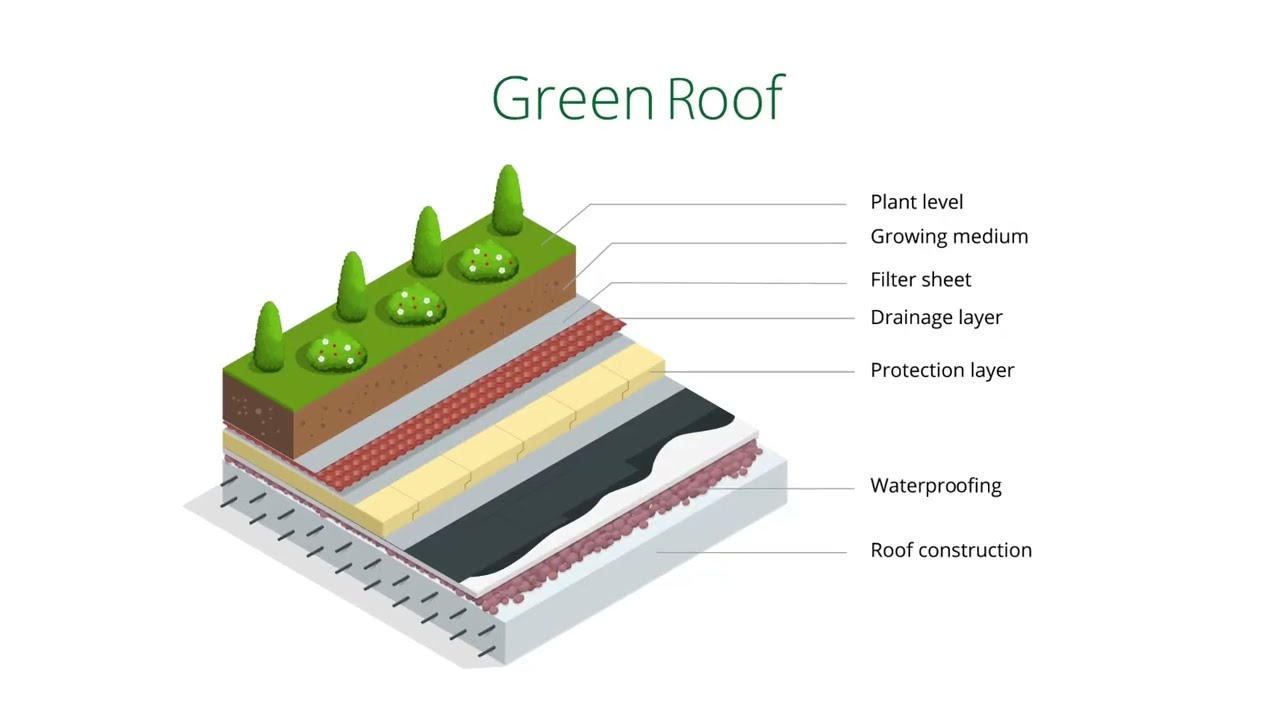 Green Roof - Stormwater Best Management Practices
