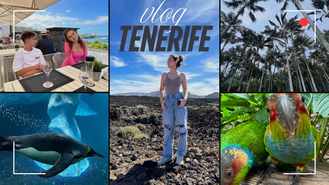 Tenerife vlog part.3 : Loro Parque, вулкан Тейде ,мое питание, парк пальм и современный музей ❤️