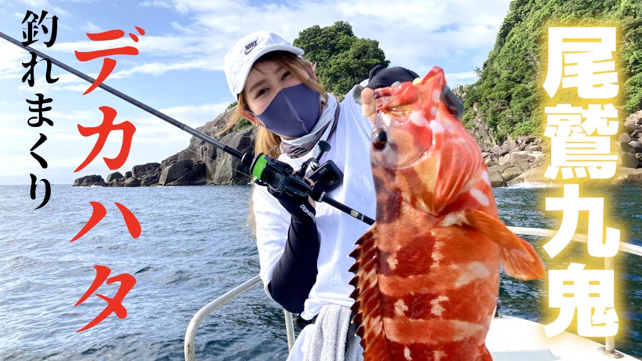 三重県で一番アカハタが釣れるロックフィッシュガイドボートにのってきた【尾鷲市九鬼町】
