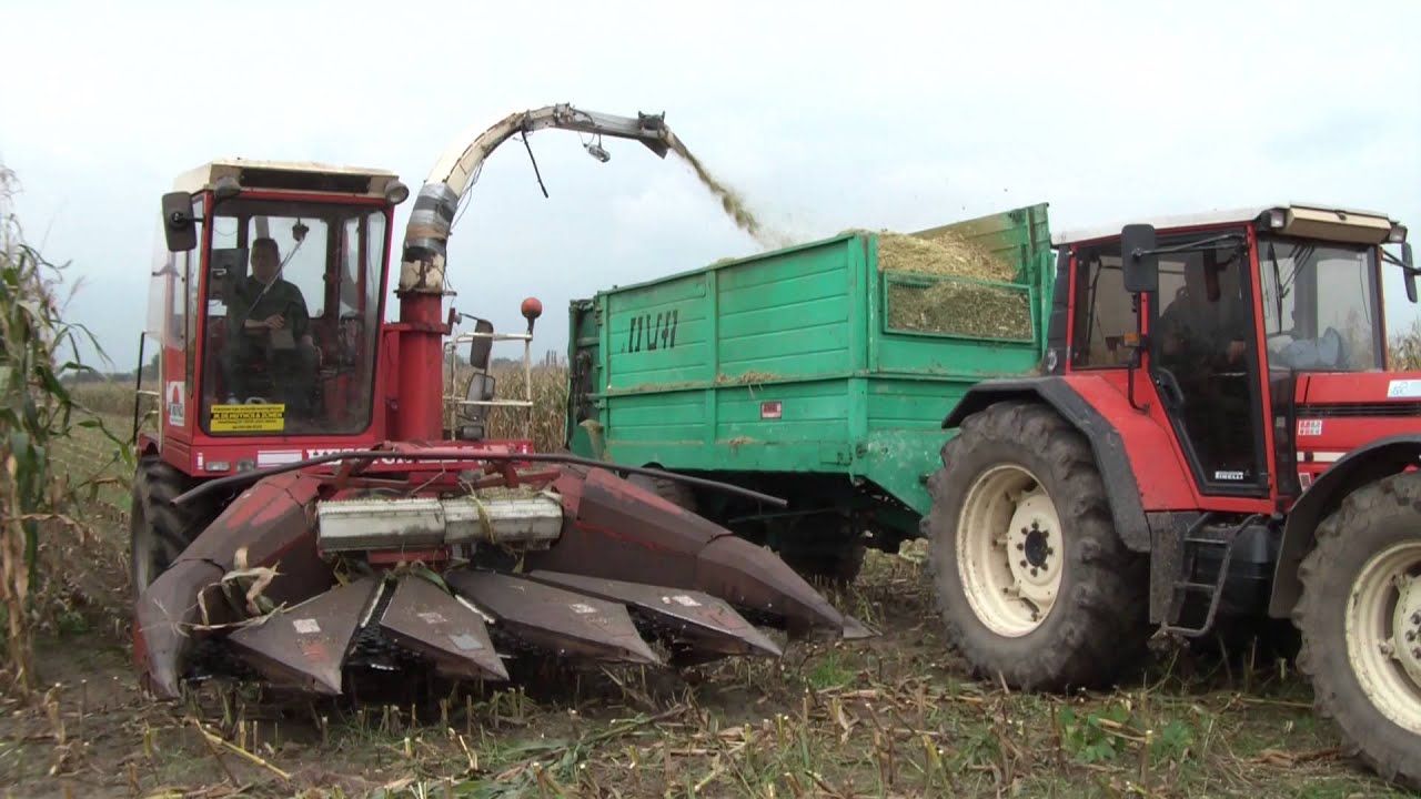 mais hakselen landbouwer luc van belle met hesston 7650 voorganger van de claas jaguar