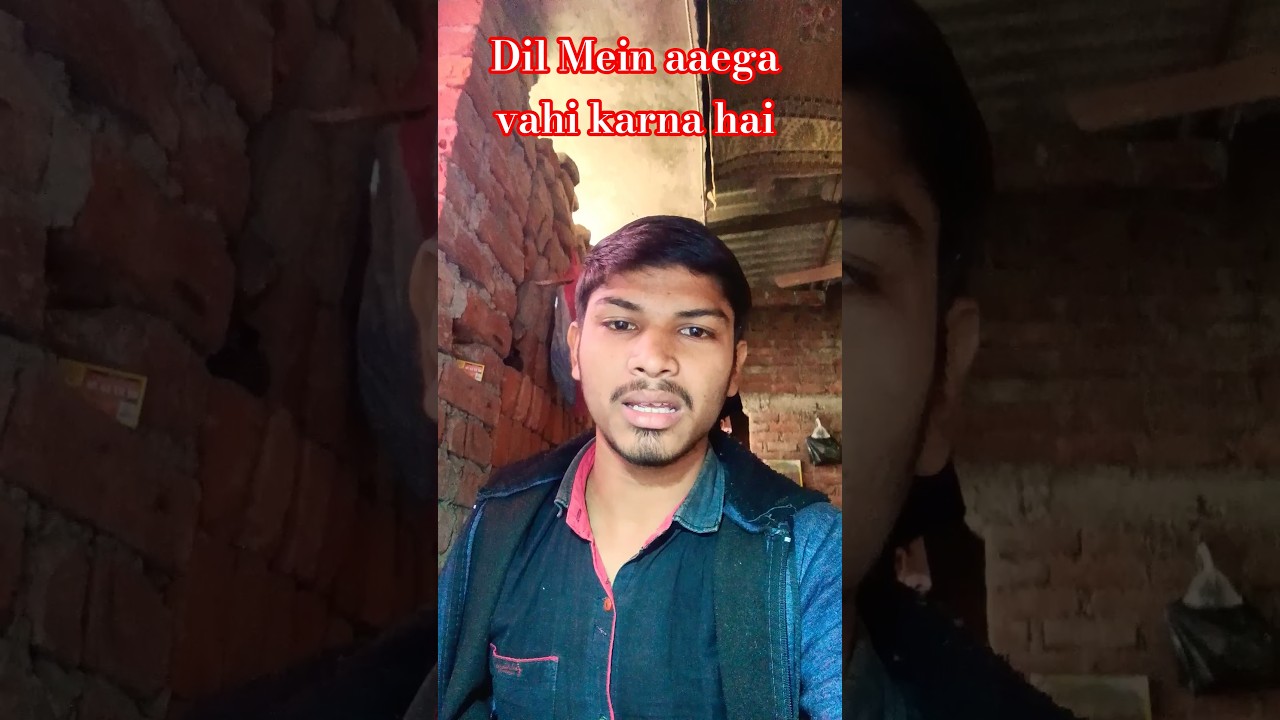 Jo Dil Mein aaega vahi karna hai