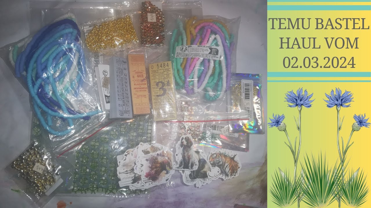 Haul 43: 🐅🩷Temu Bastel Haul vom 02.03.2024 #temu #temuhaul🐕🪴