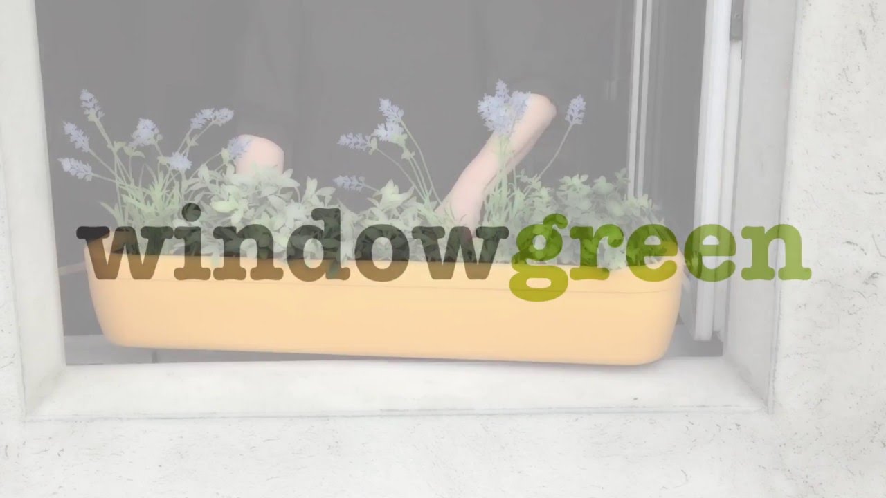 windowgreen Fensterbank Blumenkasten / windowbox