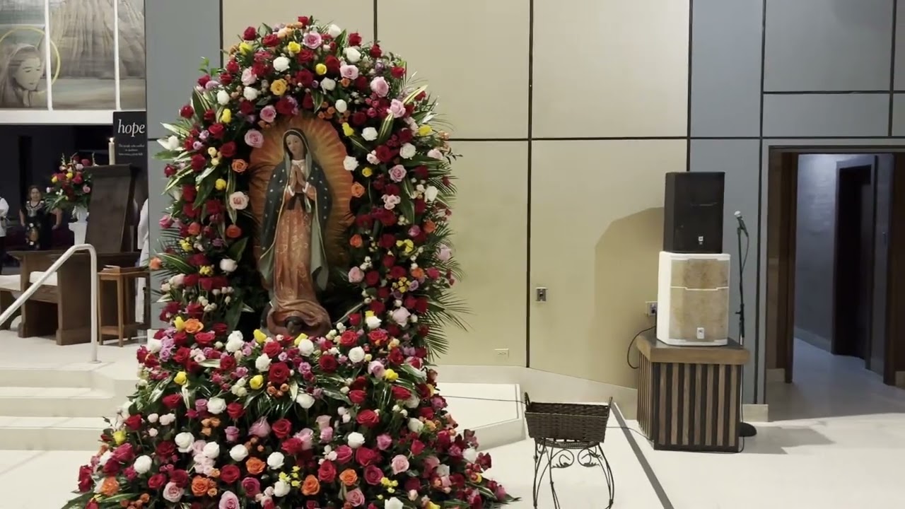 Cordero De Dios Guadalupano