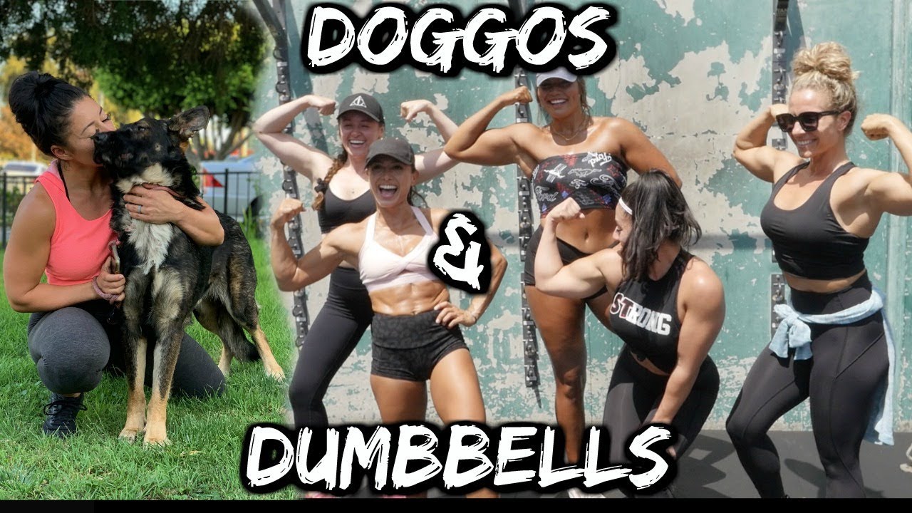 Doggies and Dumbbells