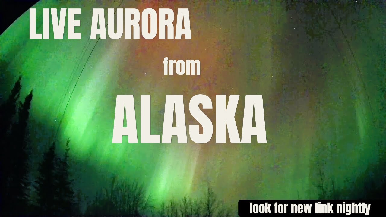 LIVE! Alaska Aurora Live Stream Mar 11-12 2026