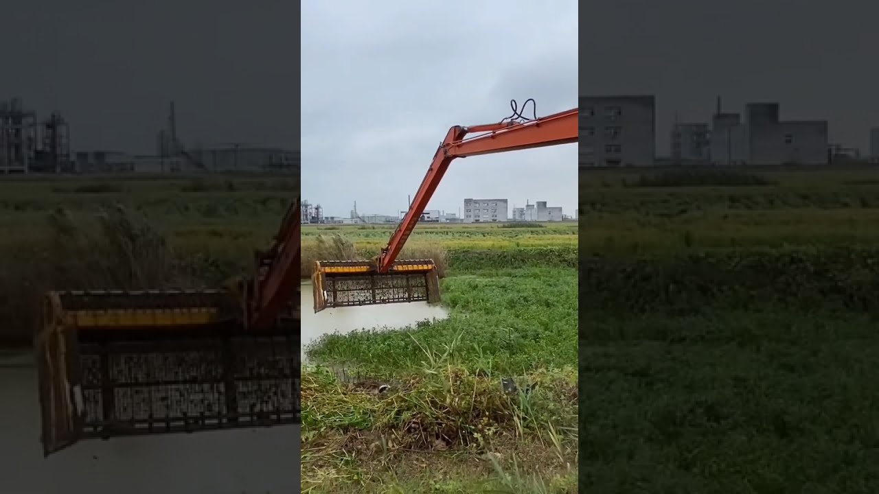 Рыба 🐠 🐟, пойманная экскаватором JCB [256]