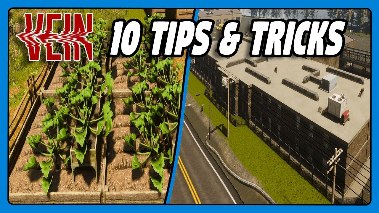 TEN VEIN Tips & Tricks To Help You Survive & Thrive!