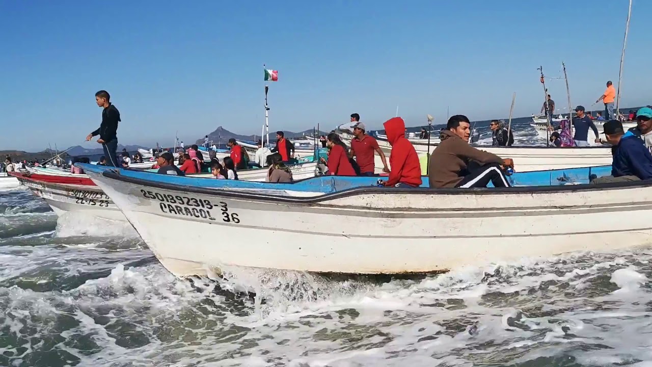el huitussi Guasave Sinaloa 🍅