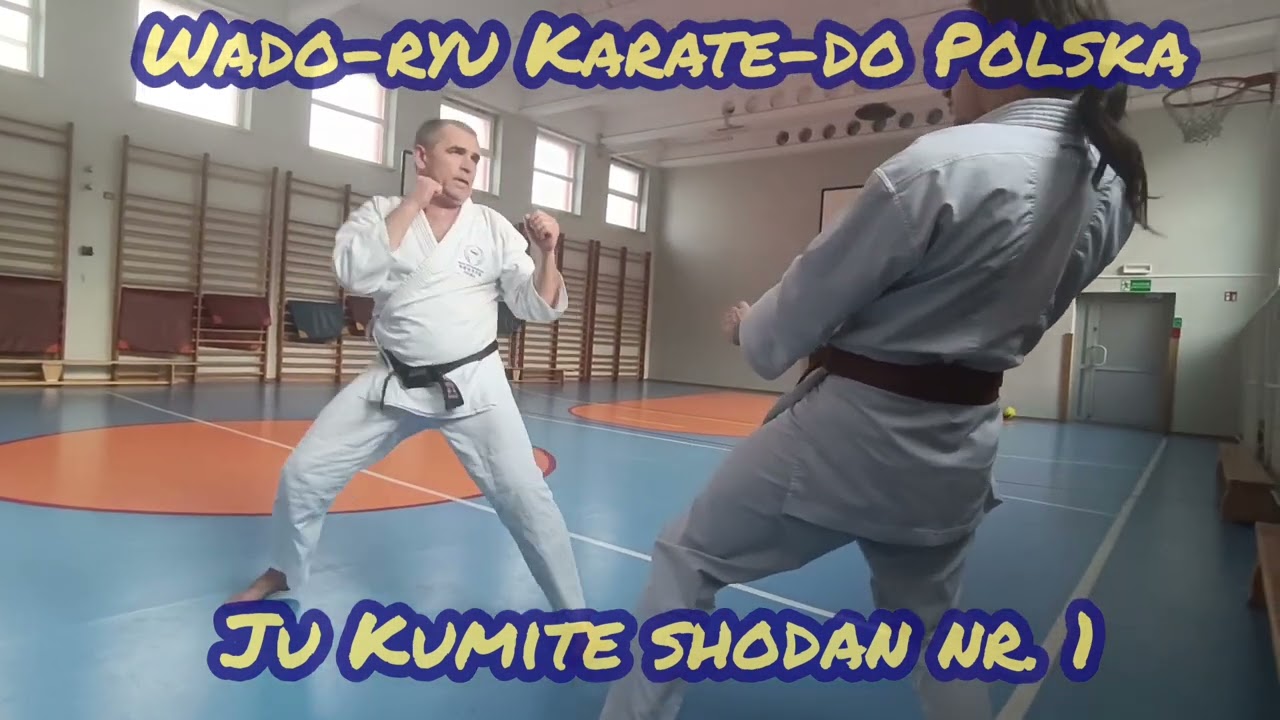 Ju Kumite Shodan nr. 1 Wado-ryu Karate-do Polska, kombinacja luźnej walki na pierwszy czarny pas.